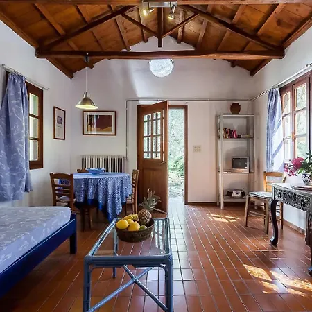 بيت للعطل Charming In An Olive Grove With Pool
